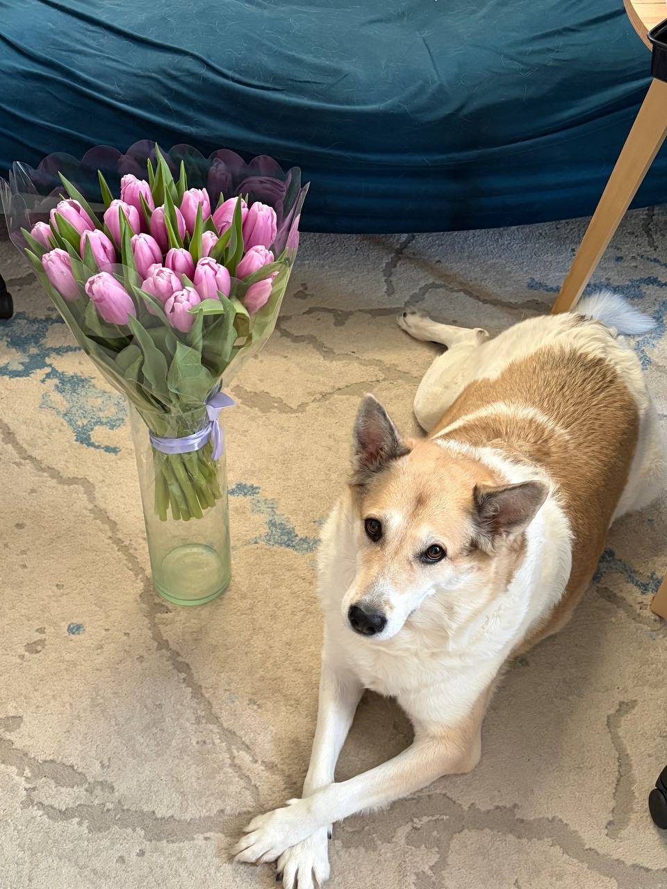 Сегодня у нас букет